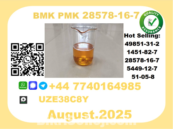 CAS 28578-16-7 BMK PMK Certified Factory Supply